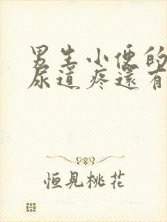 男生小便的时候尿道疼还有流脓