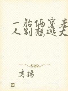 一胎俩宝老婆大人别想逃大结局