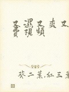 又湿又爽又黄免费视频