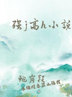 强j高h小说