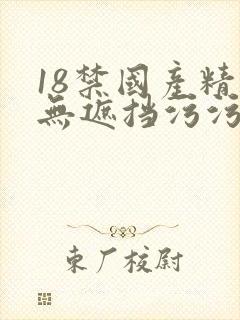 18禁国产精品无遮挡污污污