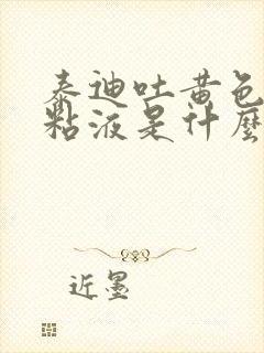 泰迪吐黄色泡沫粘液是什么原因