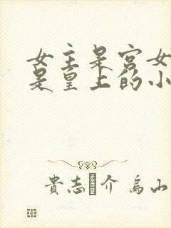 女主是宫女男主是皇上的小说