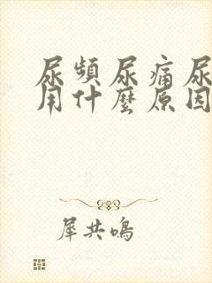 尿频尿痛尿不尽用什么原因引起的