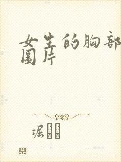 女生的胸部真实图片