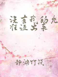 没有我的允许不准流出来