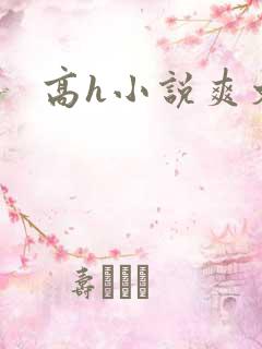 高h小说爽文