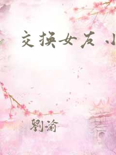 交换女友 小说