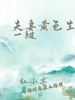 夫妻黄色生活片一级