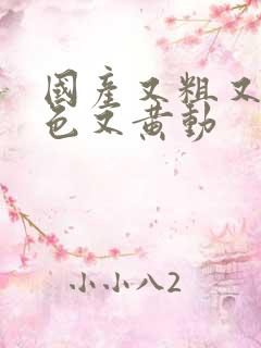 国产又粗又猛又色又黄动