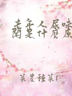 老年人尿味大难闻是什么原因