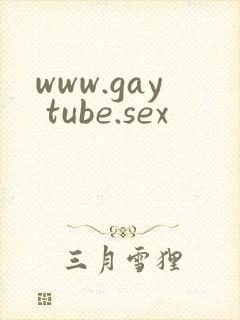 www.gay tube.sex