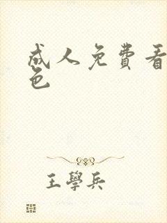 成人免费看的黄色