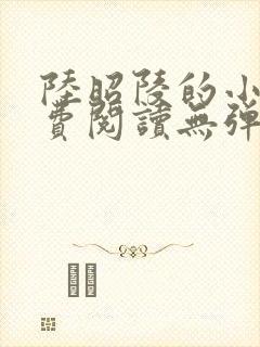 陆昭陵的小说免费阅读无弹窗