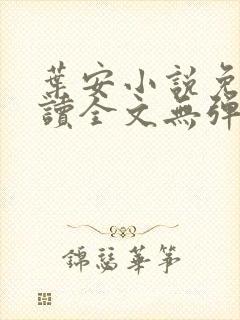 叶安小说免费阅读全文无弹窗