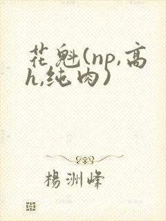 花魁(np,高h,纯肉)