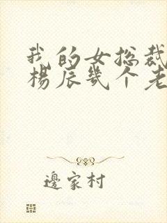 我的女总裁老婆杨辰几个老婆