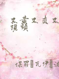 又黄又爽又湿的视频