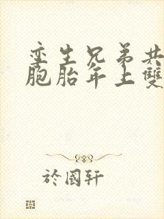 孪生兄弟共感双胞胎年上双男主小说