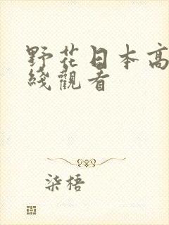 野花日本高清在线观看
