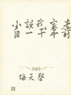 小说我家老婆来自一千年前全本阅读