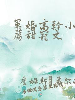 军婚高干小说推荐甜宠文