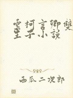 云柯言卿双男主生子小说