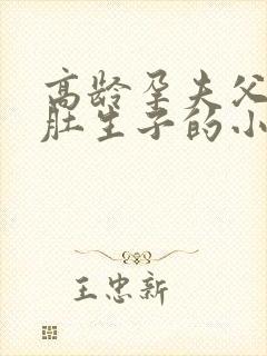 高龄孕夫父亲大肚生子的小说