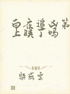 白夜追凶第二季上映了吗