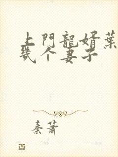 上门龙婿叶辰有几个妻子