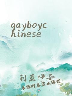 gayboychinese