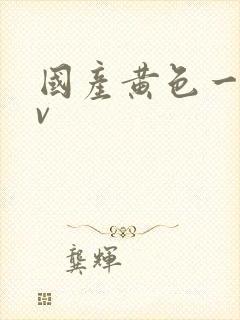 国产黄色一级av