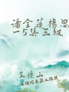 潘金莲杨思敏1一5集三级