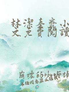 林洁秦齐小说全文免费阅读最新章节