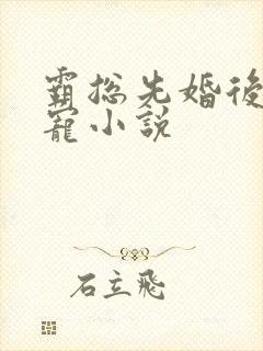 霸总先婚后爱甜宠小说