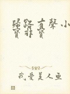 归路有声小说墨宝非宝