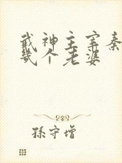 武神主宰秦尘有几个老婆