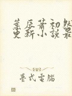 叶辰萧初然最快更新小说最新