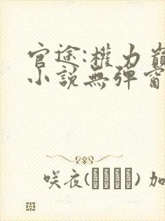 官途:权力巅峰小说无弹窗