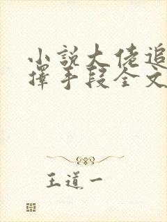 小说大佬追妻不择手段全文阅读