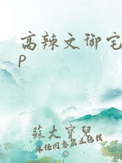 高辣文御宅屋np