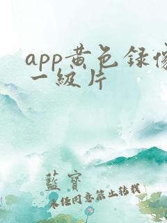 app黄色录像一级片
