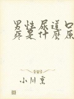 男性尿道口流脓疼是什么原因