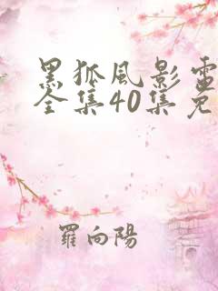 黑狐风影电视剧全集40集免费观看高清