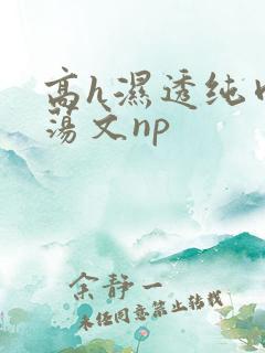 高h湿透纯肉放荡文np