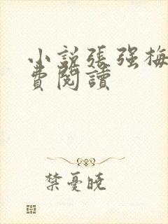 小说张强梅姨免费阅读