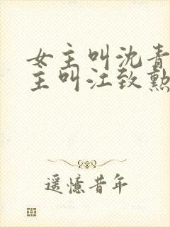 女主叫沈青青男主叫江致勋的小说