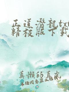 正道潜龙txt精校版下载