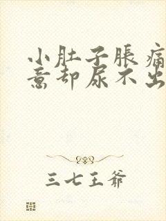 小肚子胀痛有尿意却尿不出来