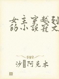 女主穿越到古代的小说宠文